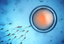 fecondation in vitro en Tunisie Dr Ahmed SKHIRI