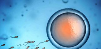 fecondation in vitro en Tunisie Dr Ahmed SKHIRI