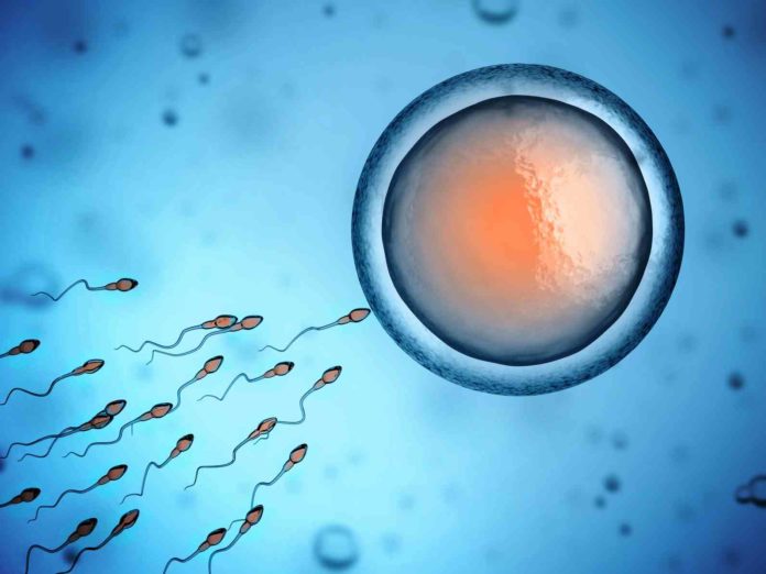 fecondation in vitro en Tunisie Dr Ahmed SKHIRI