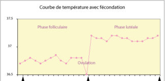 Courbe temperature fecondation Dr SKHIRI