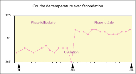 Courbe temperature fecondation Dr SKHIRI