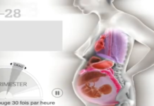 La grossesse