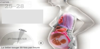 La grossesse