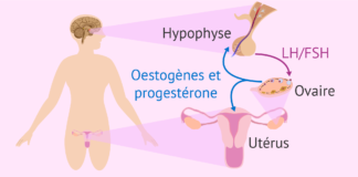 control hormonal