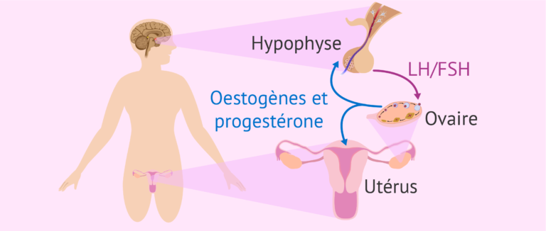 control hormonal