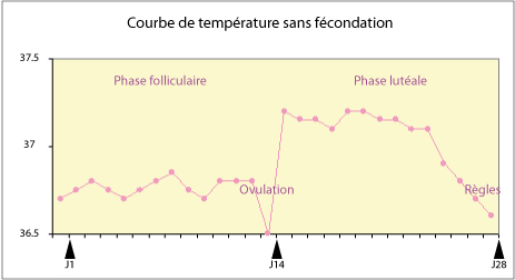 Courbe de température - Dr Ahmed SKHIRI