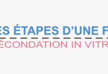 les étapes une FIV
