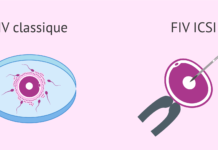 Differences entre FIV classique et ICSI