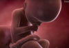 que peut faire le bébé dans le ventre