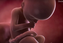que peut faire le bébé dans le ventre
