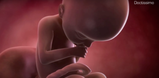 que peut faire le bébé dans le ventre