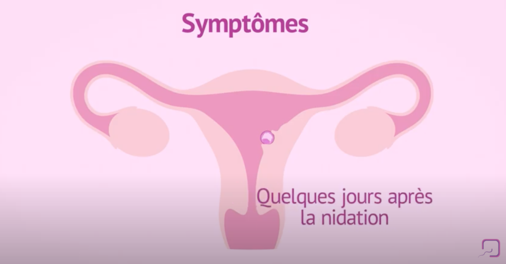 Schema Nidation Définition De La Nidation | Signe De Nidation Réussie – PTOMO